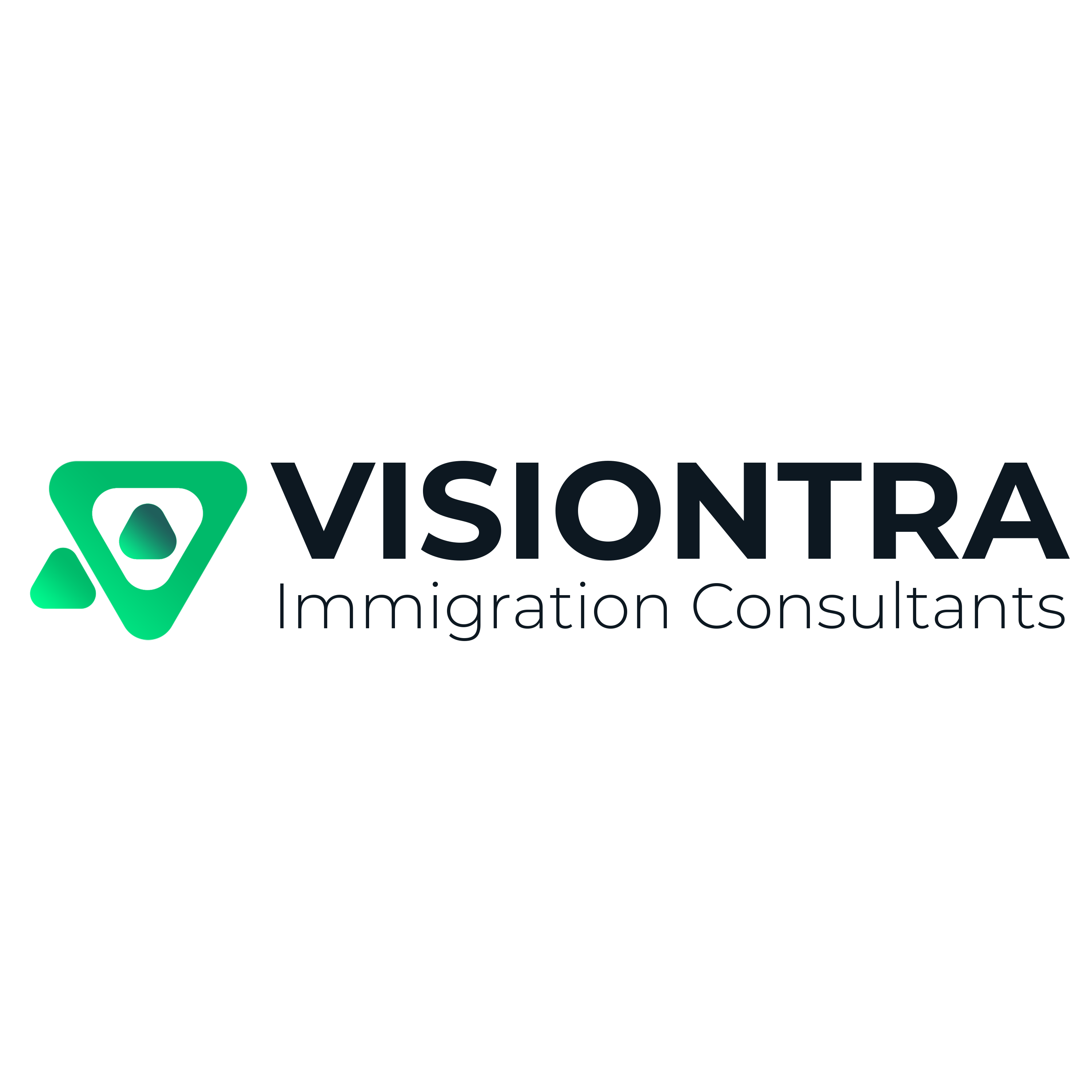 visiontra immigration consultants main logo.png